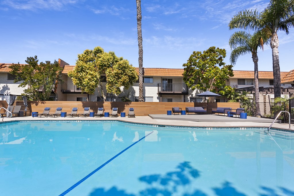 a swimming pool with blue chaise lounge chairs and palm trees in the background