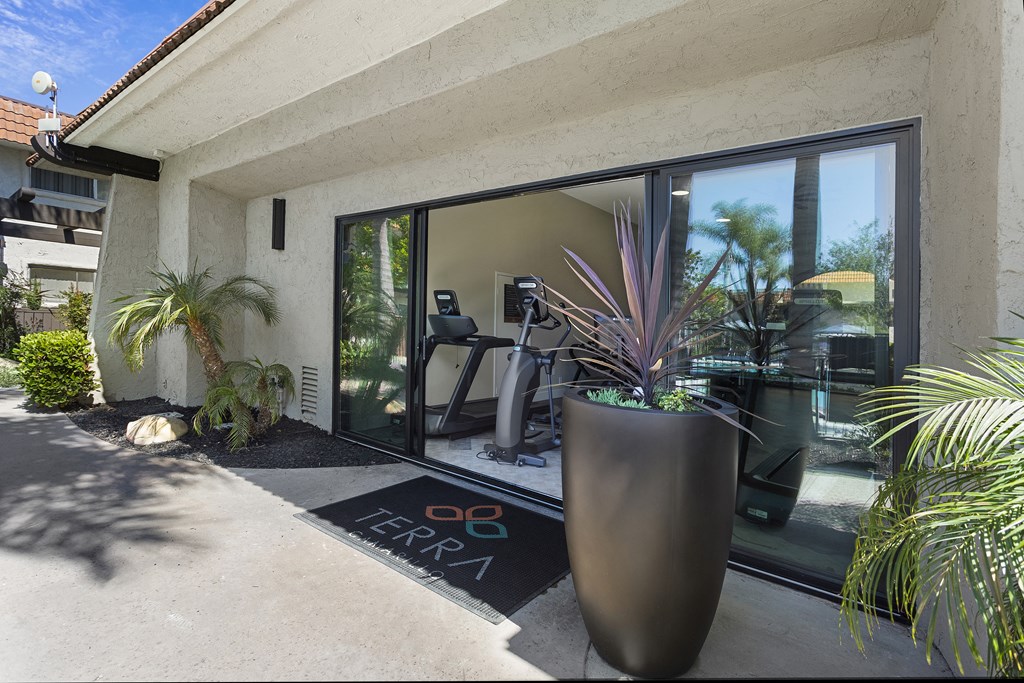 a home gym with a large potted plant in front of a sliding glass door