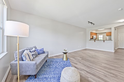 A living room with a grey couch and a blue rug.