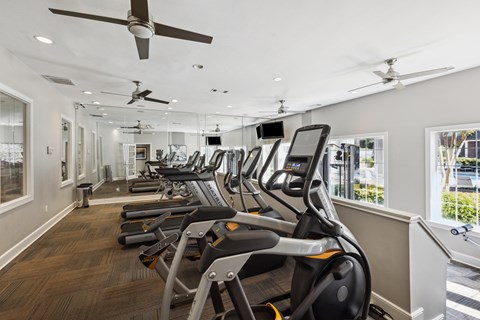 a row of cardio exercise machines in a fitness room