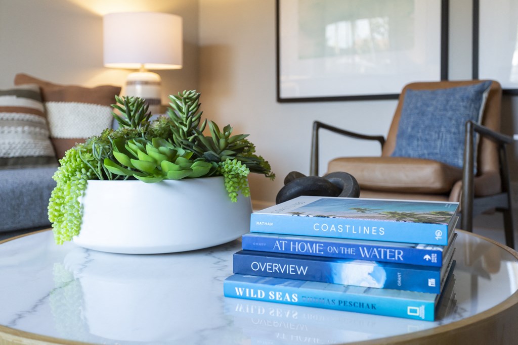a stack of books on a coffee table with a potted succulent in the background