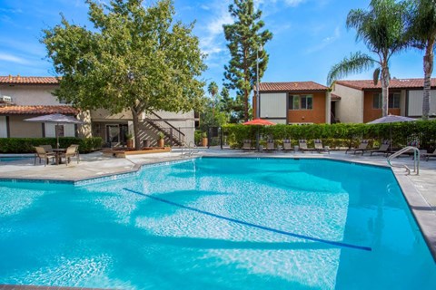 A swimming pool surrounded by trees and houses.