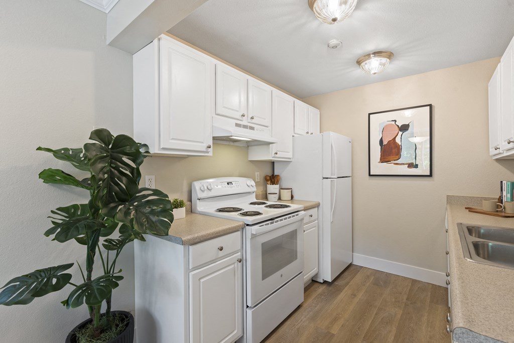 a kitchen with white appliances and white cabinets and a plant