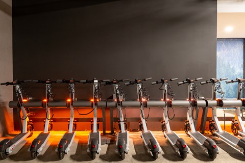 a row of exercise machines in a gym
