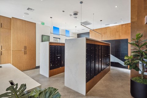 A modern office space with wooden walls and a black and white reception desk.