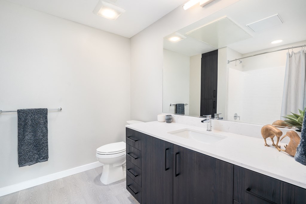 a bathroom with a sink and a toilet and a mirror