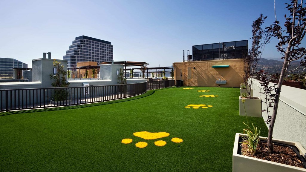 A modern building with a green lawn and yellow paw prints.