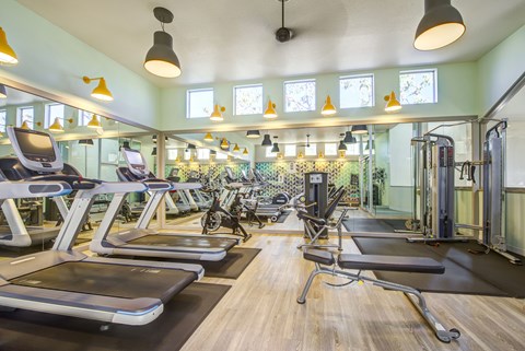 A gym with treadmills, exercise bikes, and other equipment.