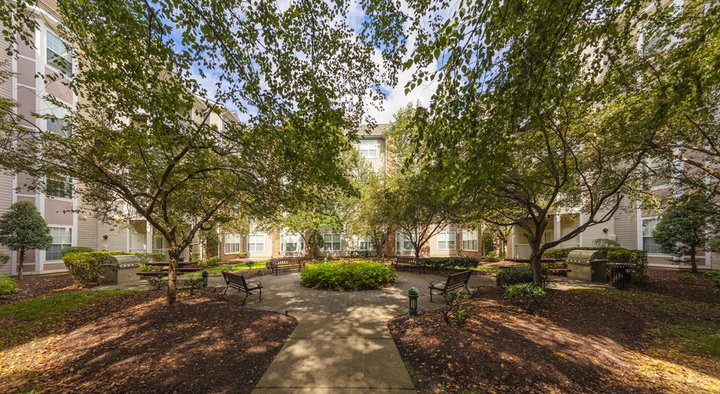 A tree-lined walkway leads to a building.