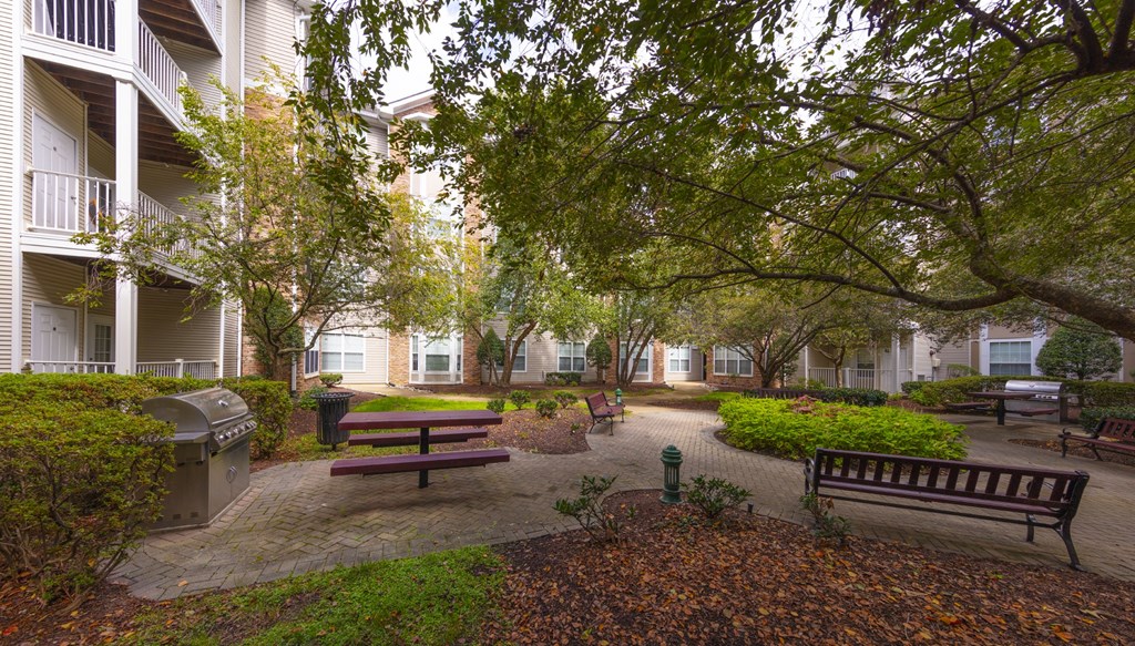 A courtyard with benches and trees.