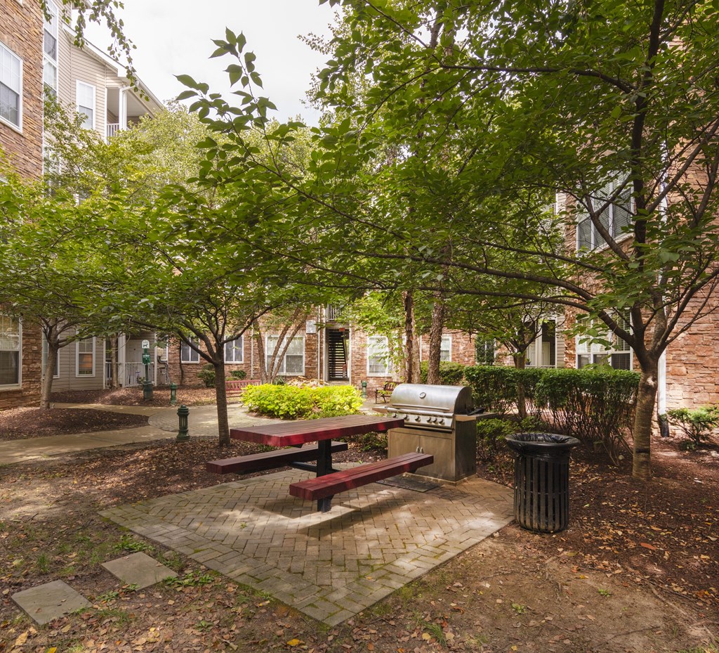 A park area with a bench, trash can, and trees.