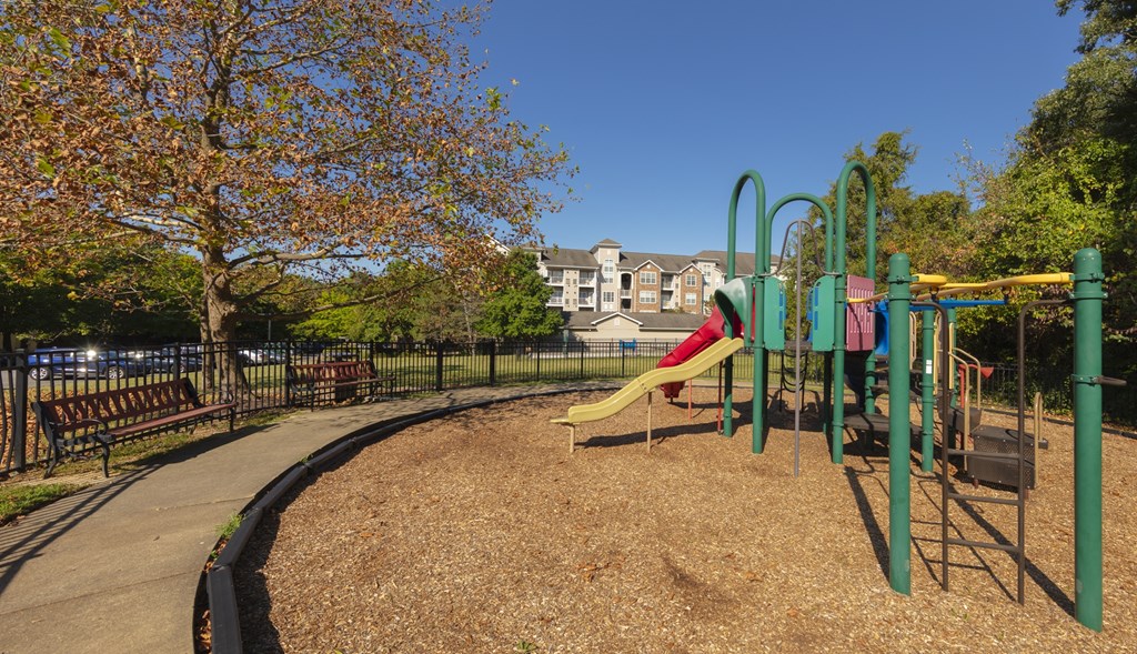 A playground with a slide and a tree.