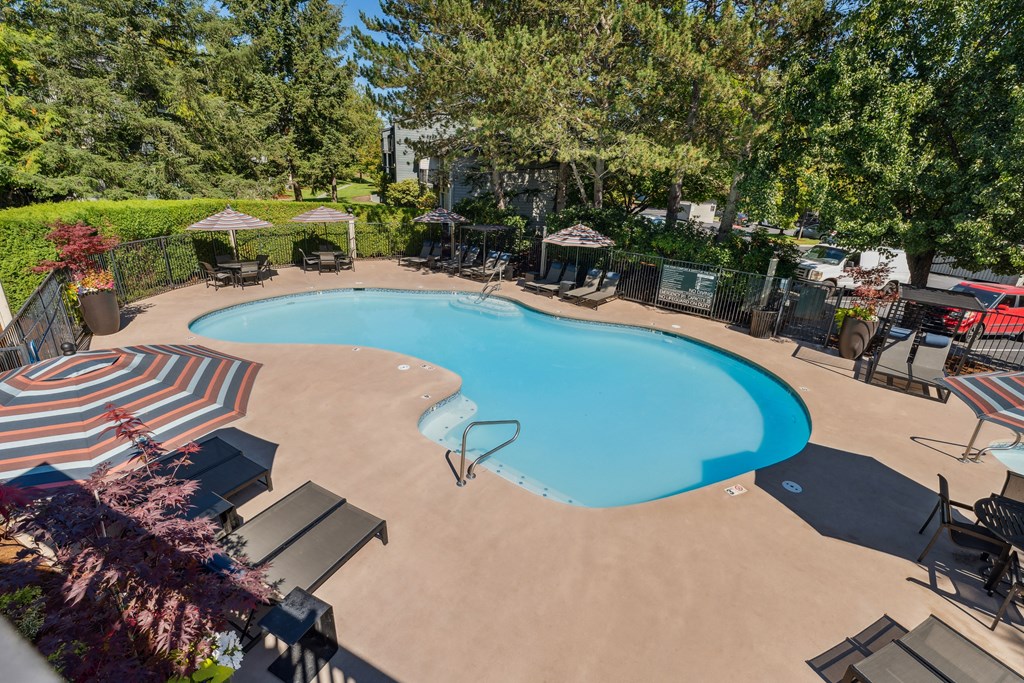 a backyard swimming pool with chairs and umbrellas and trees