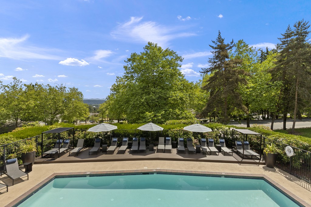a swimming pool with lounge chairs and umbrellas next to a tree