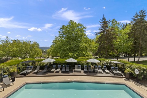 a swimming pool with lounge chairs and umbrellas next to a tree