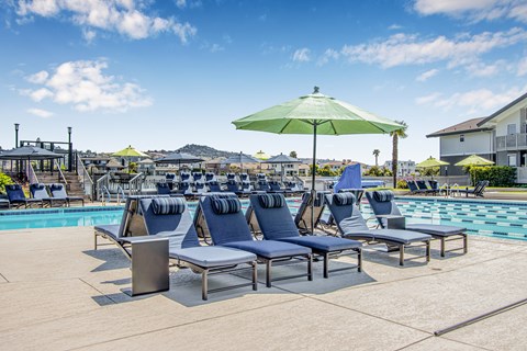 A poolside area with sun loungers and a green umbrella.