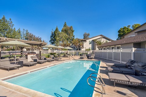 a swimming pool with lounge chairs and umbrellas at the resort
