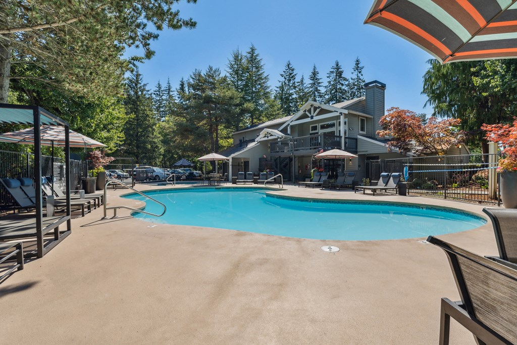 our resort style swimming pool with our house in the background