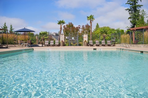 the swimming pool at the resort at longboat key club