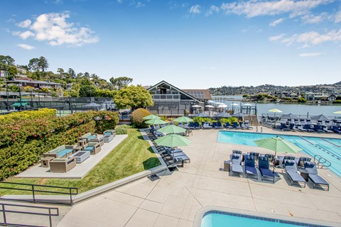 A sunny day at the pool with a clear blue sky.