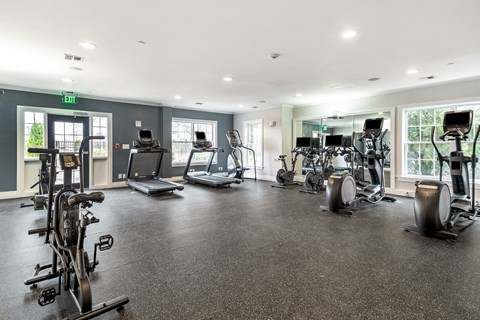 the gym is equipped with cardio equipment and weights