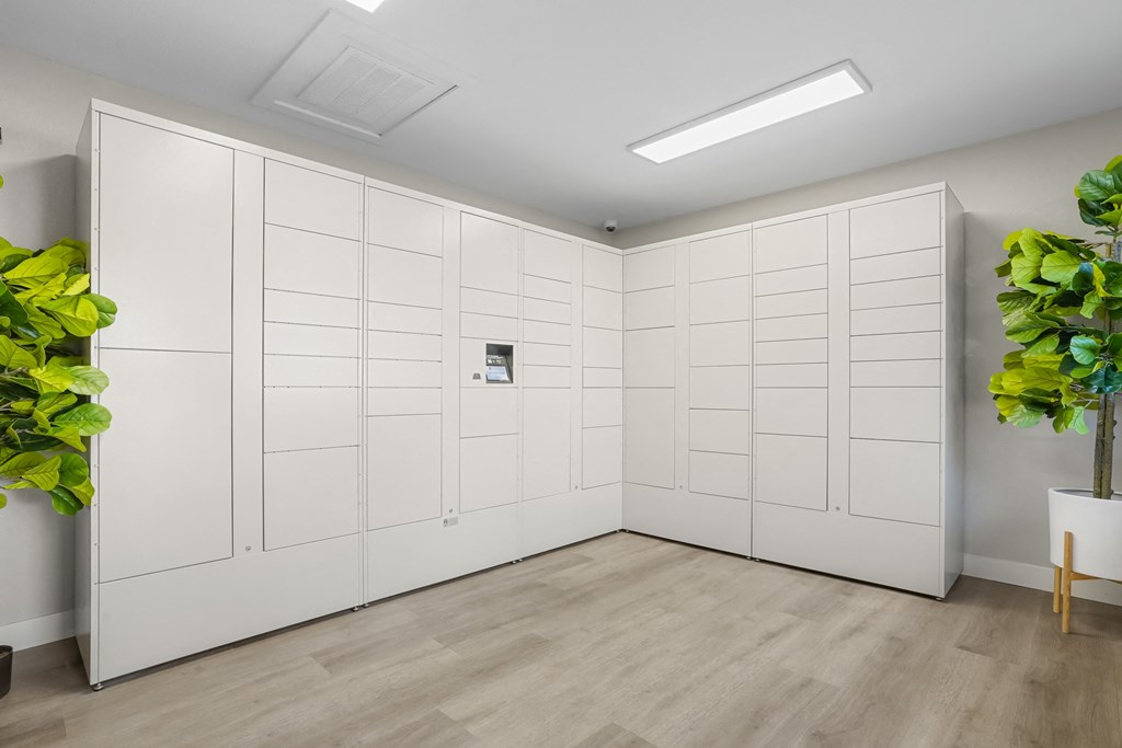 a white room with white closets and a plant