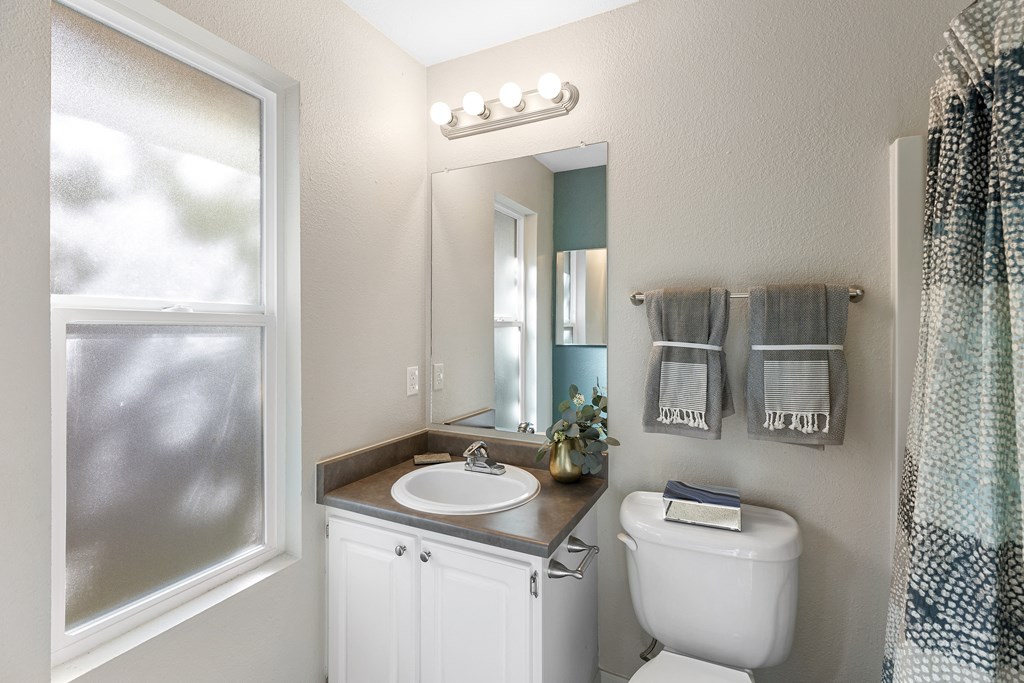 SoFi at Somerset Apartments Bathroom with Window