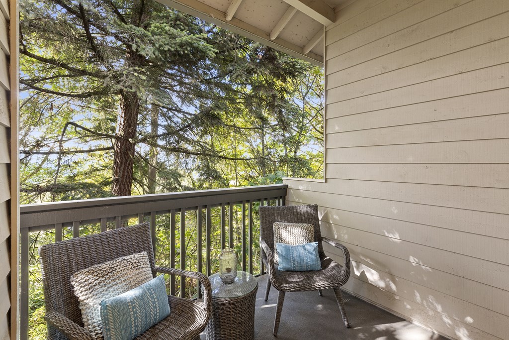 SoFi at Somerset Apartments Patio