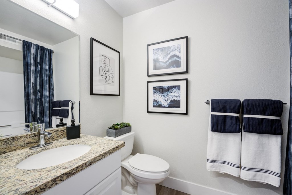 a bathroom with a sink and toilet next to a mirror