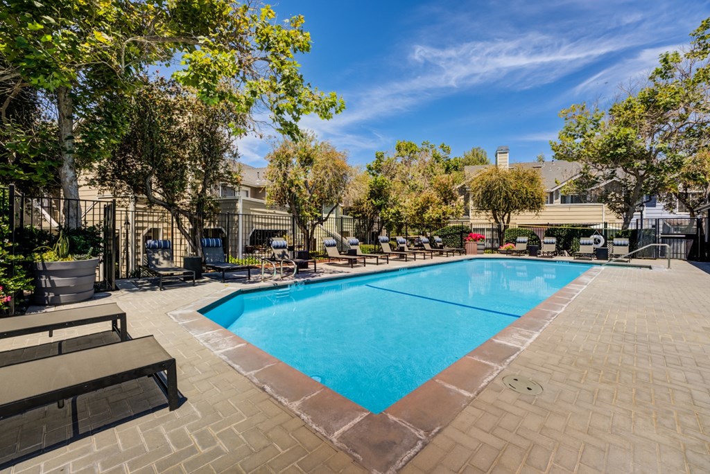 our apartments offer a swimming pool