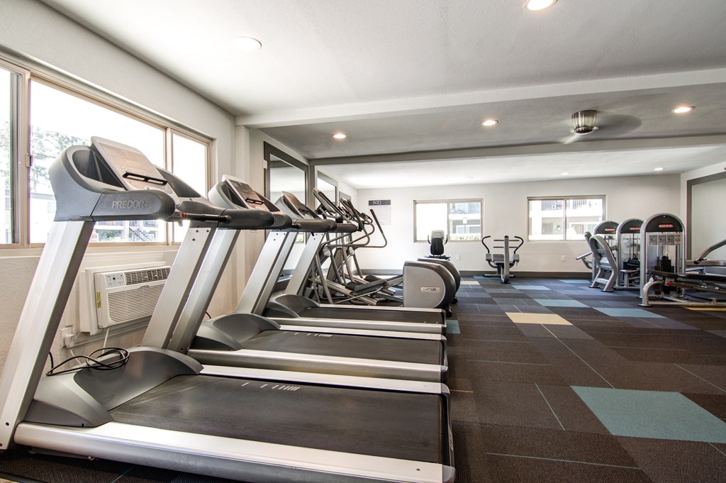 A gym with treadmills and exercise equipment.