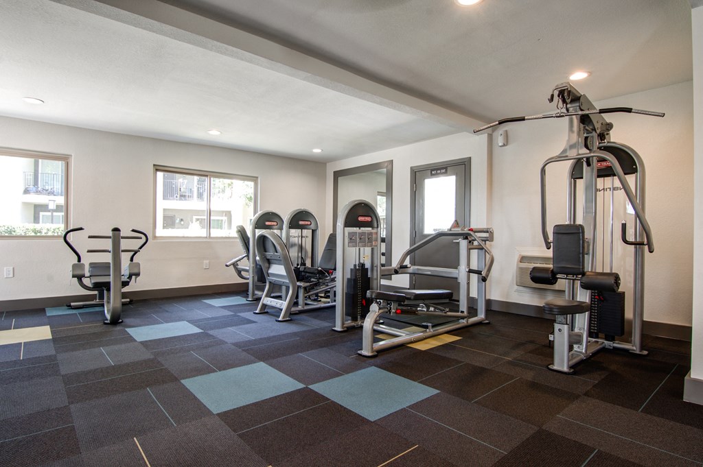A spacious gym with a variety of equipment including treadmills, weight machines, and free weights.