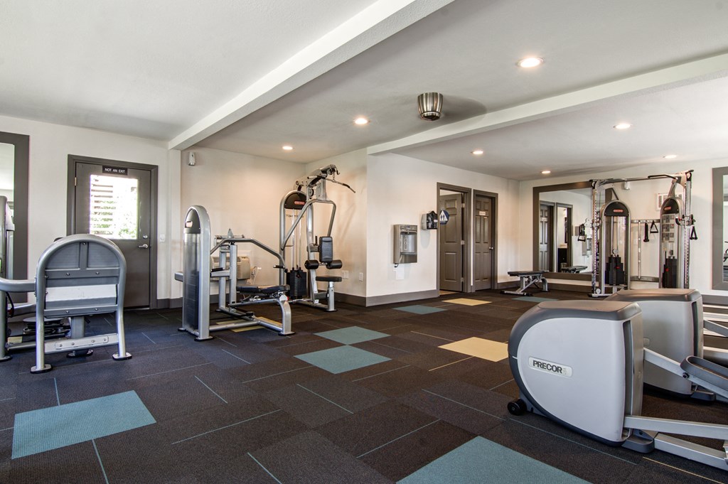A gym with a variety of equipment including a treadmill, weights, and a bench press.