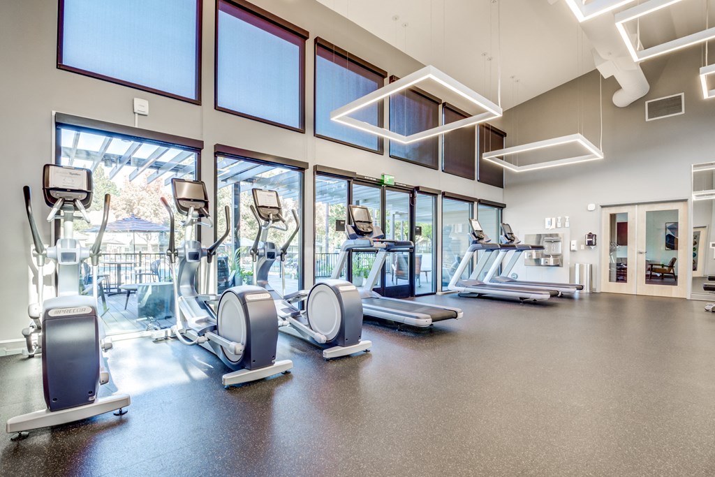 a gym with treadmills and elliptical trainers