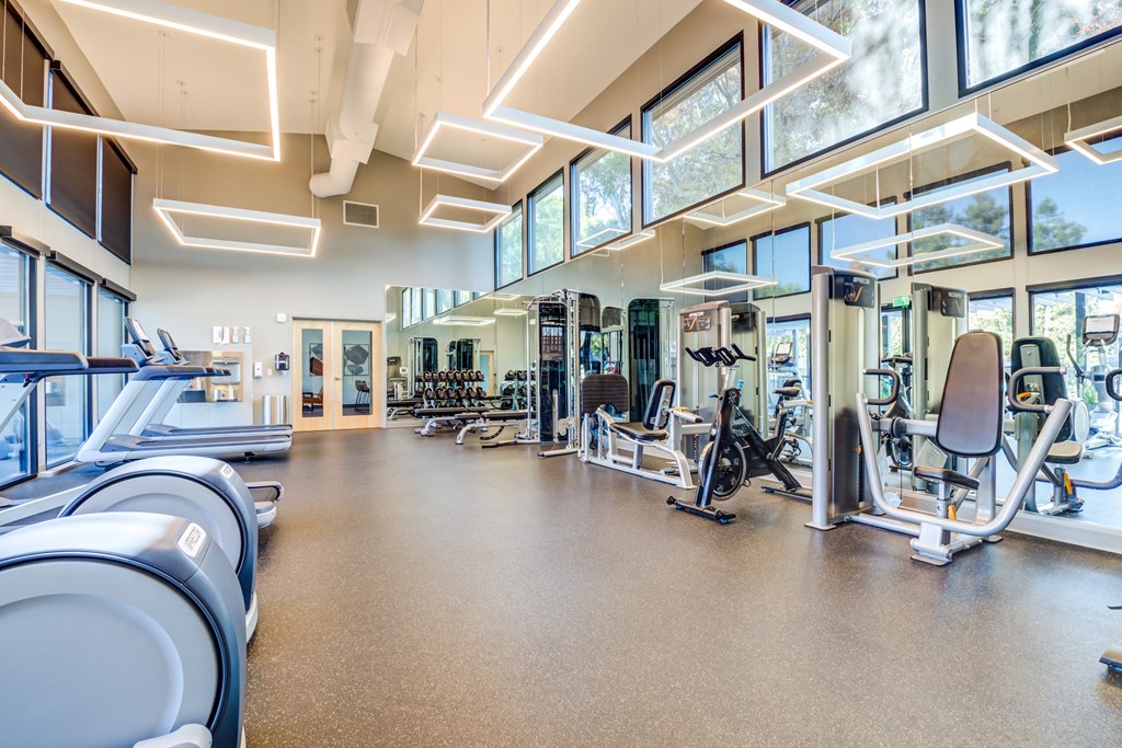 a large fitness room with cardio equipment and large windows