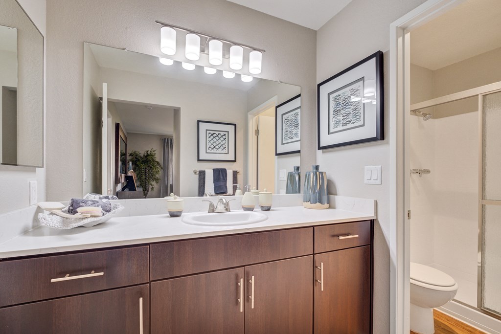a bathroom with a large mirror and wooden cabinets