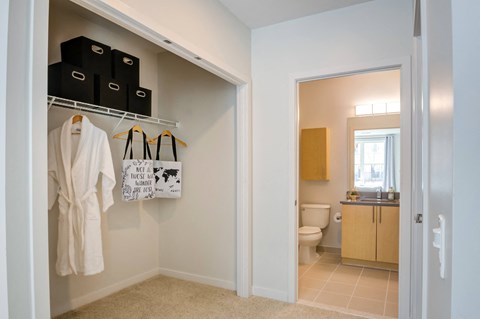 a bathroom with a closet and a toilet and a mirror