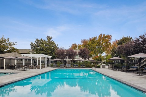 A large swimming pool surrounded by trees and a covered patio area.