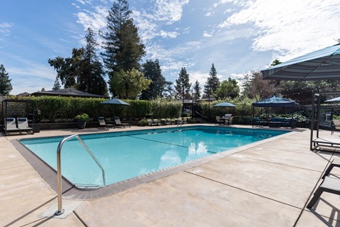A swimming pool surrounded by trees and a clear sky.