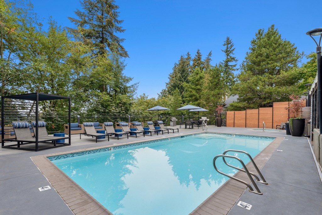 A swimming pool surrounded by trees and lounge chairs.