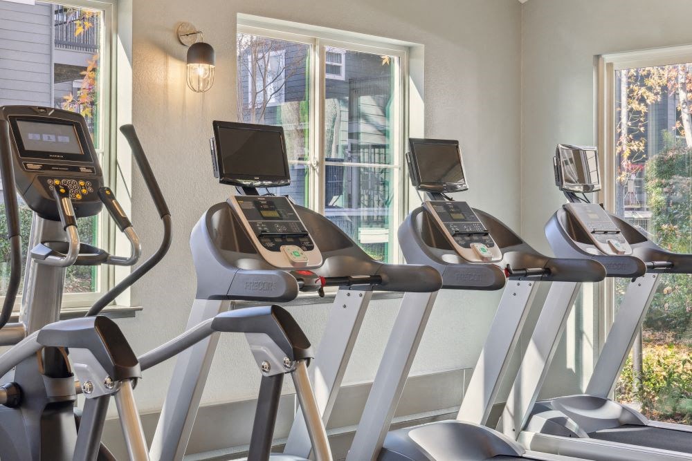 A row of treadmills in a gym with a window in the background.