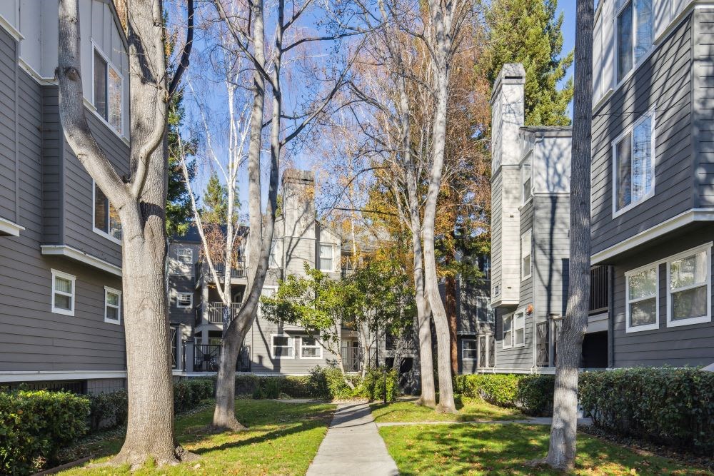 A tree-lined walkway leads to a building.