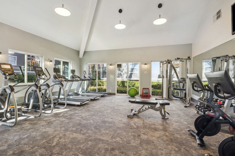 A gym with treadmills, exercise bikes, and weights.