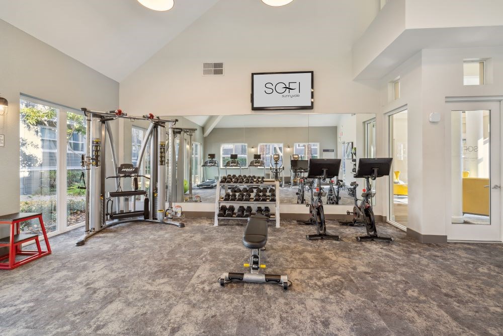 A gym with a variety of equipment including a treadmill, weights, and a squat rack.