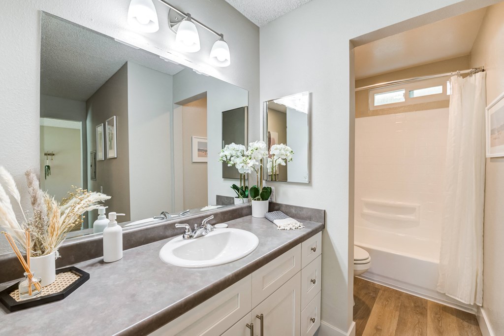 a bathroom with a sink and a shower and a mirror