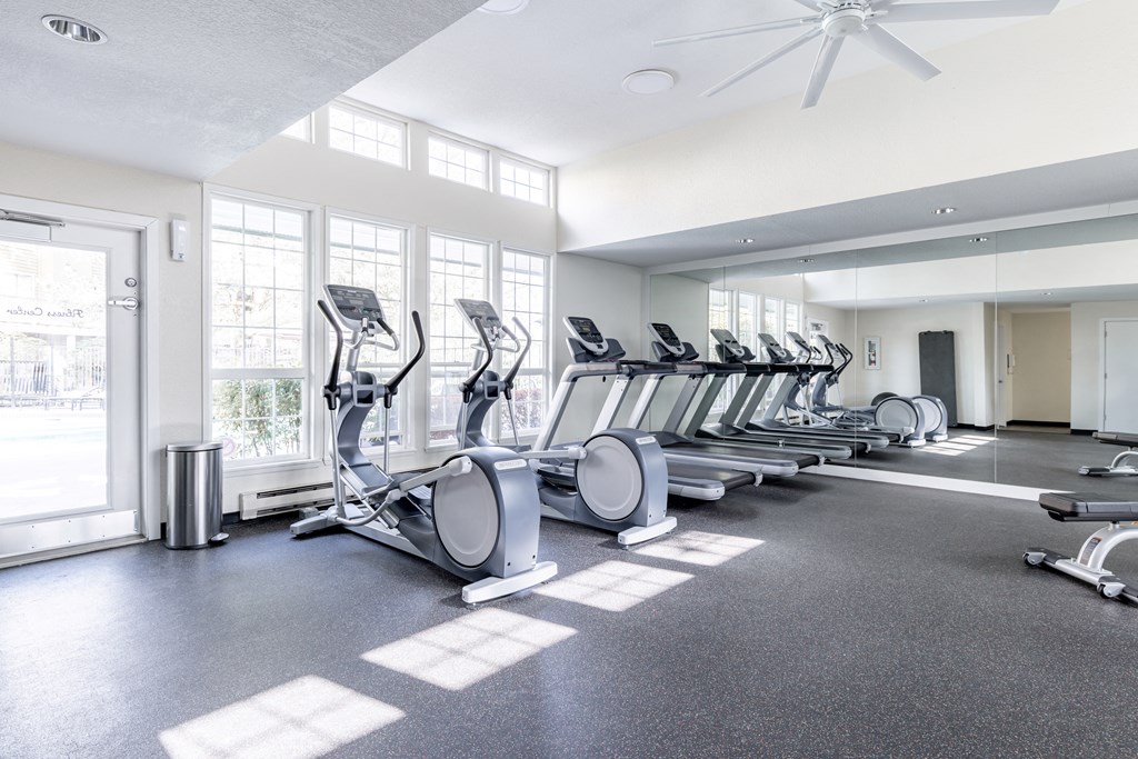 a row of treadmills and exercise machines in a fitness room