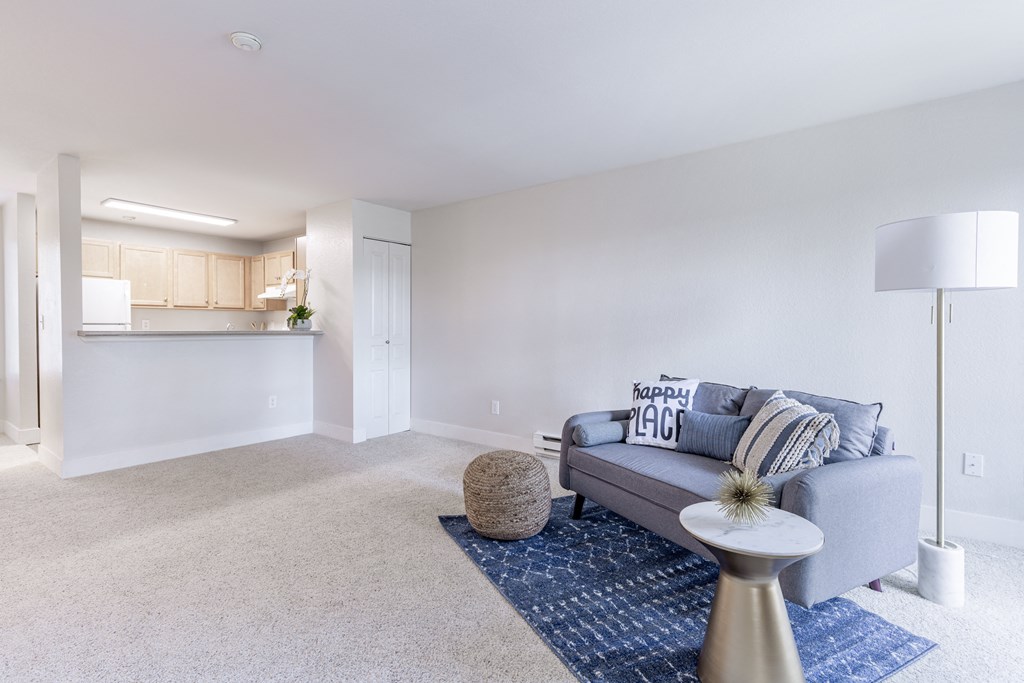 a living room with a grey couch and a blue rug