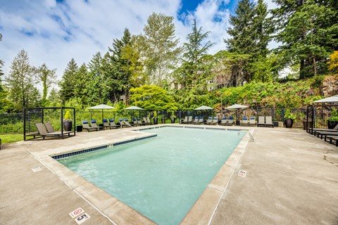 A large outdoor swimming pool surrounded by trees and lounge chairs.