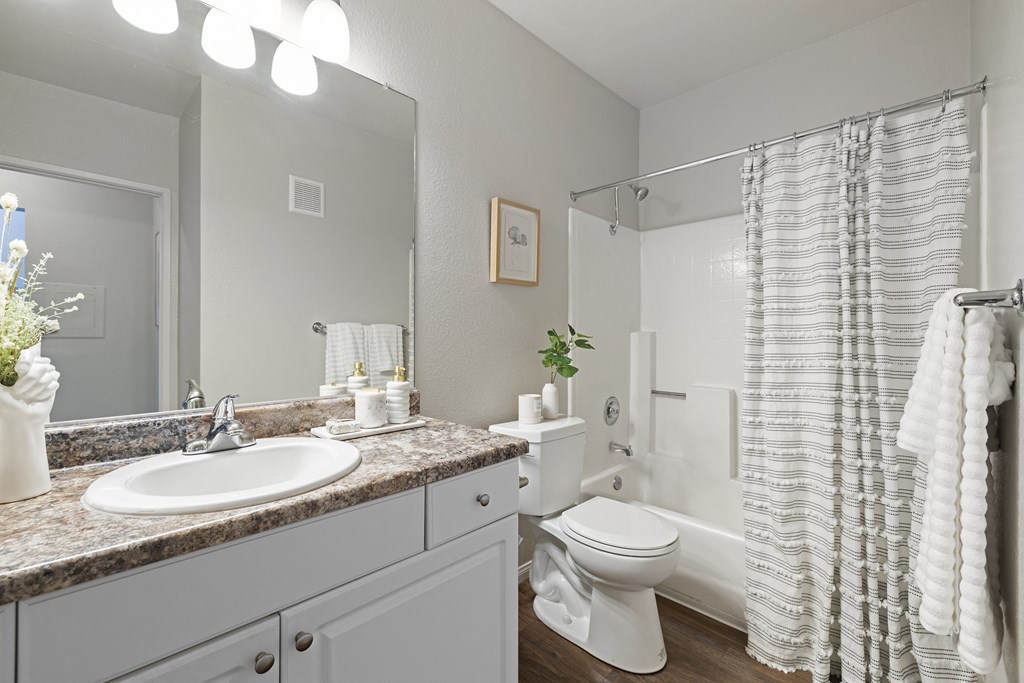 a bathroom with a shower toilet and sink and a mirror