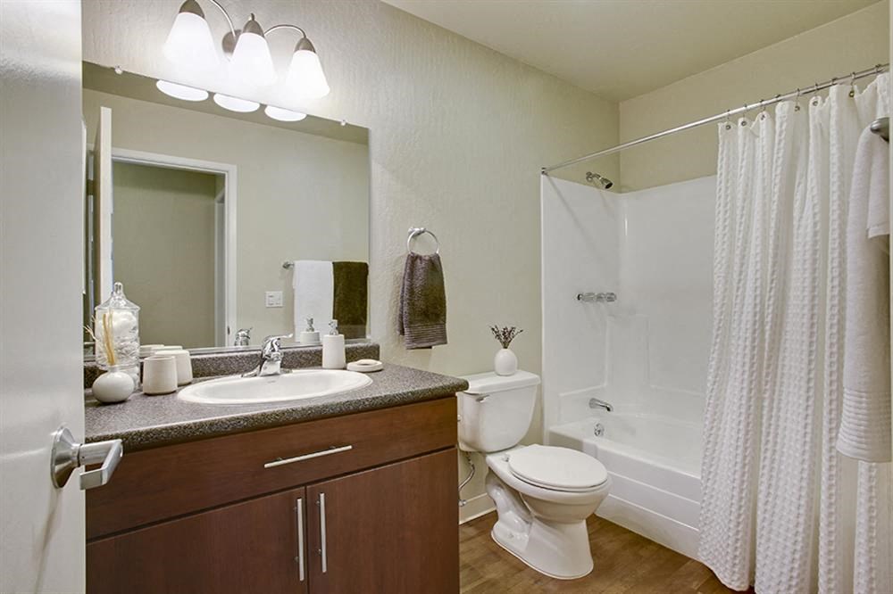 Bathroom sink and shower